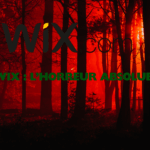 Wix : l’horreur absolue pour votre entreprise à Perpignan ?