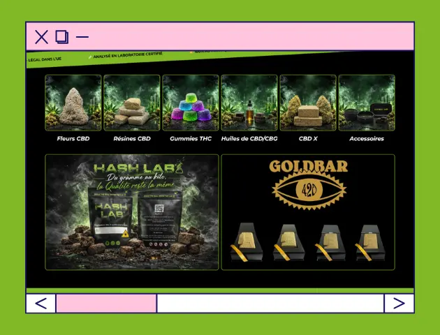 Création site internet 66 - Projet Hashlab