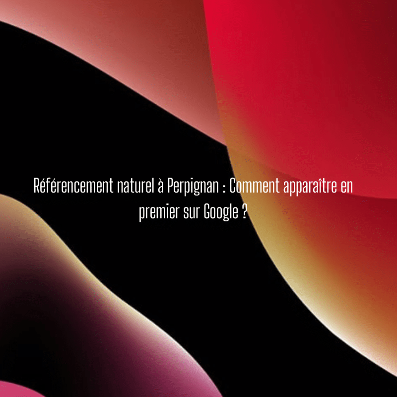 Référencement naturel à Perpignan : Comment apparaître en premier sur Google ?